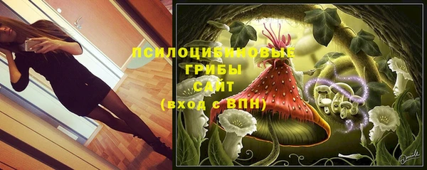 дмт Покровск