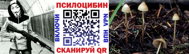 гидра сайт  Щёкино  Галлюциногенные грибы GOLDEN TEACHER 