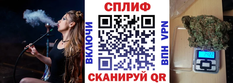 Бошки Шишки VHQ Щёкино